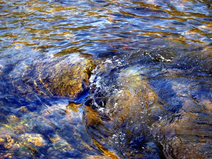 an ocean current moving through rocks and water