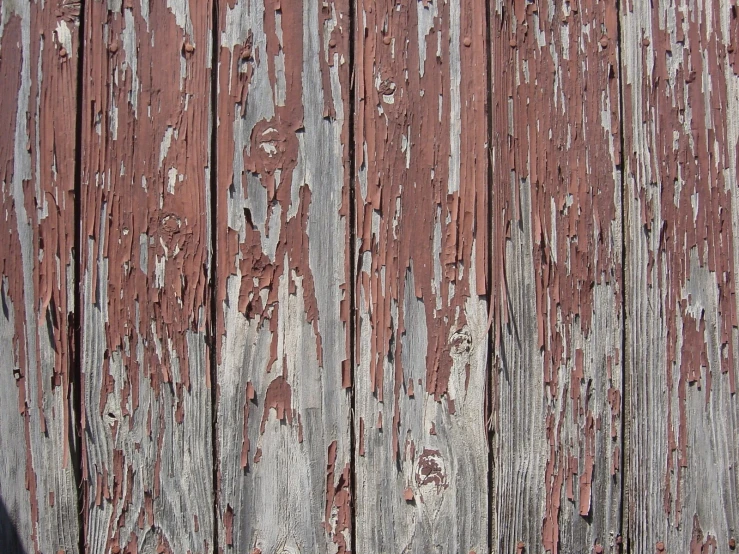 the weathered wood and peeling paint of a building