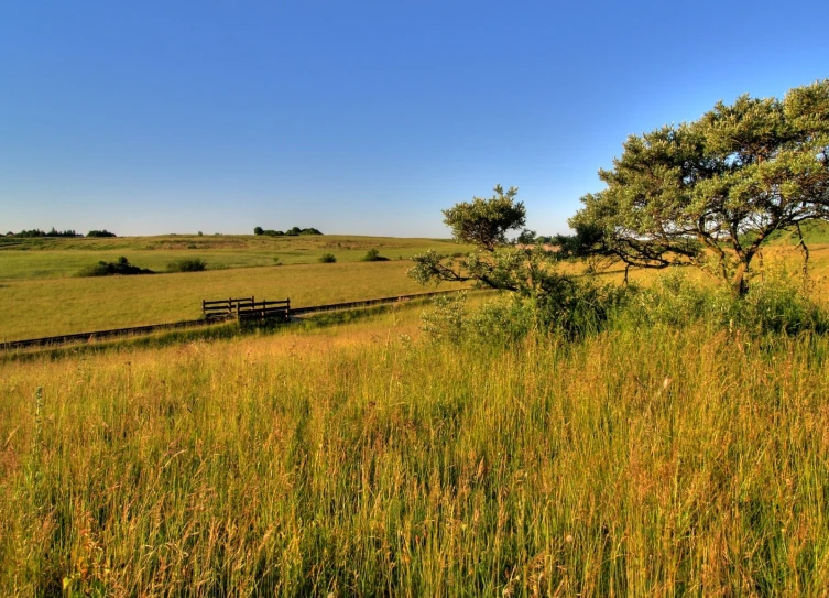 a field with grass and a lone bench on top