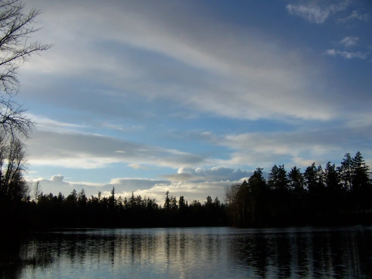 a large lake with lots of water and trees in the background