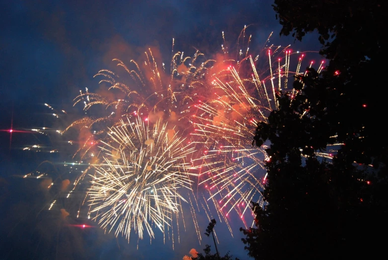 a big fireworks on the sky above a forest