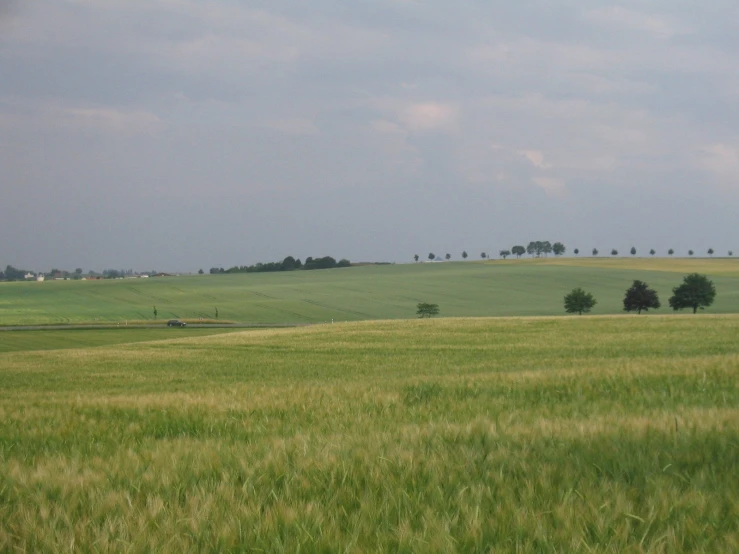 a beautiful green pasture with trees in the distance