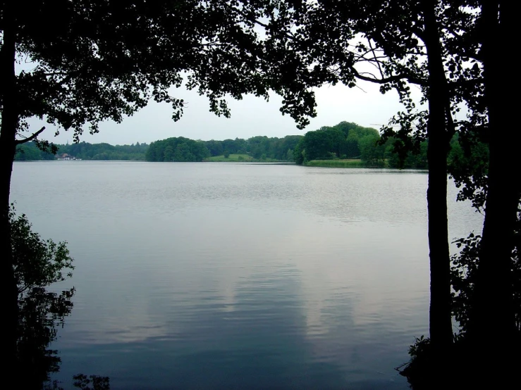 the water is calm in the distance and reflecting trees