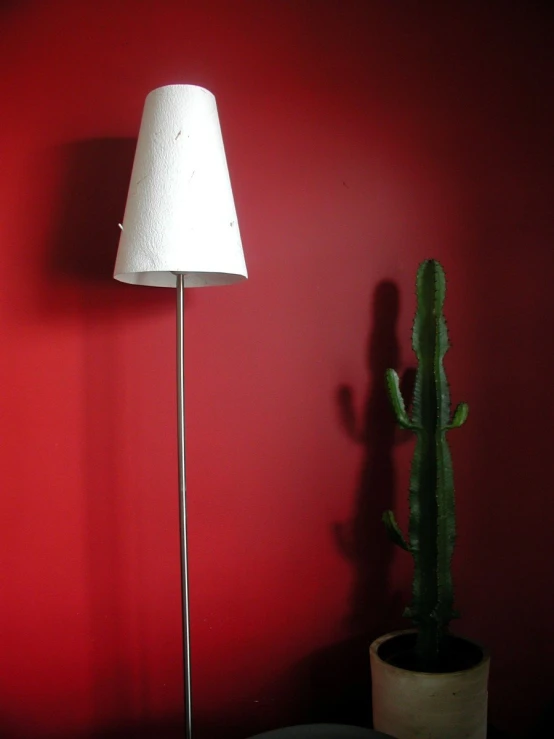 a plant that is next to a lamp