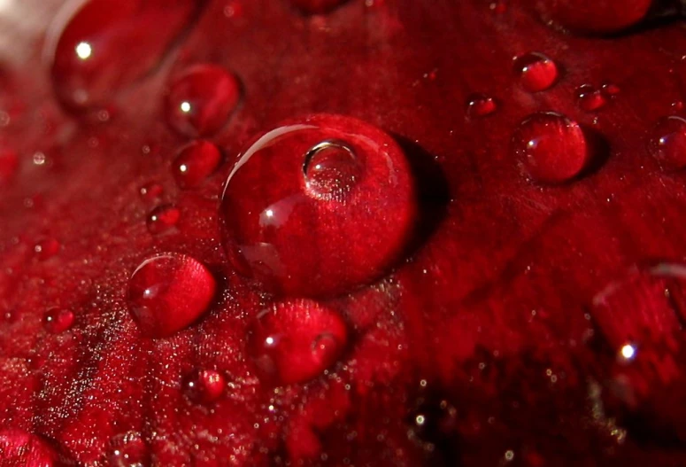 drops of water on top of red liquid