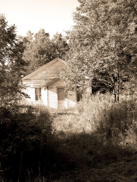 old house in an abandoned forest in sepia