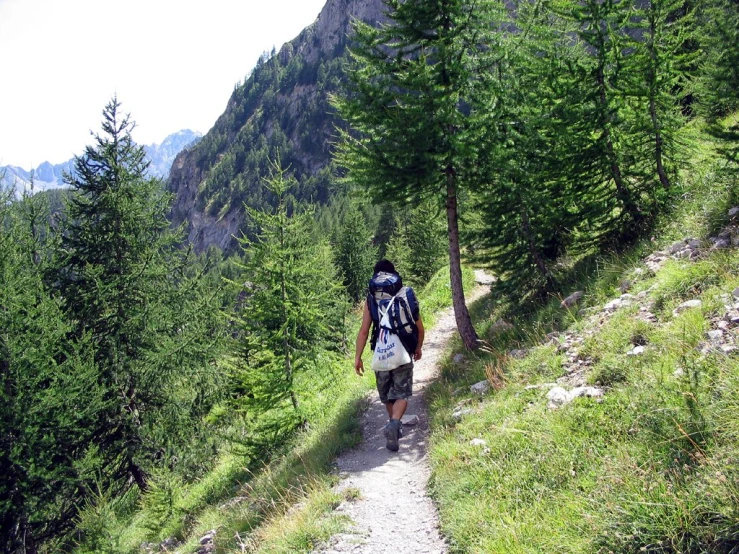 a man on a path that leads into the woods