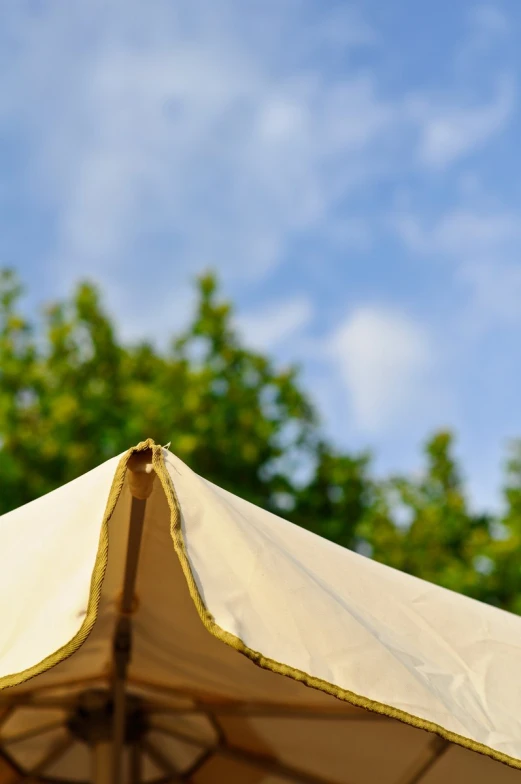 an open umbrella and the top of a tree