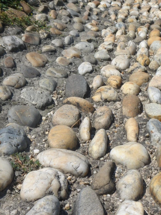 a pile of rocks that are laying in the ground