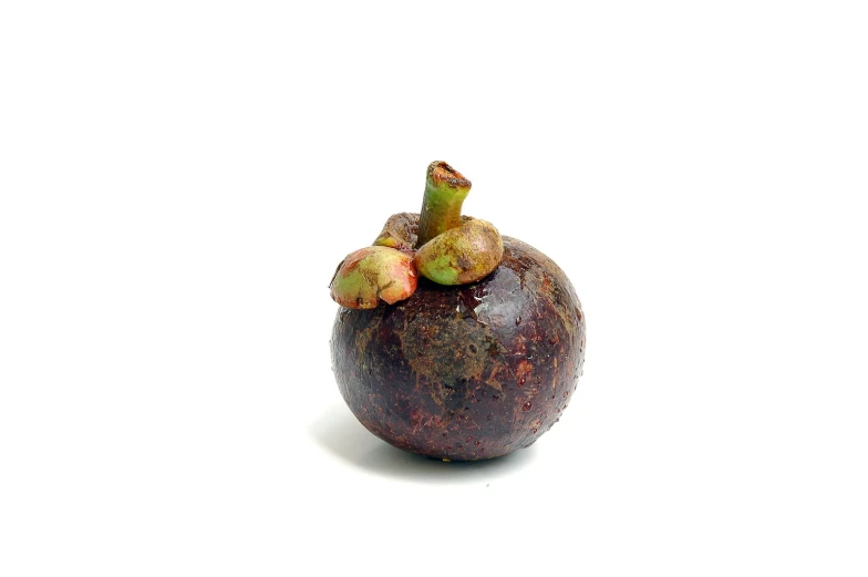 an overhead s of a fresh fruit on a white background