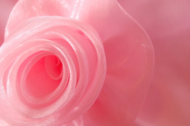 closeup of a very pretty pink flower