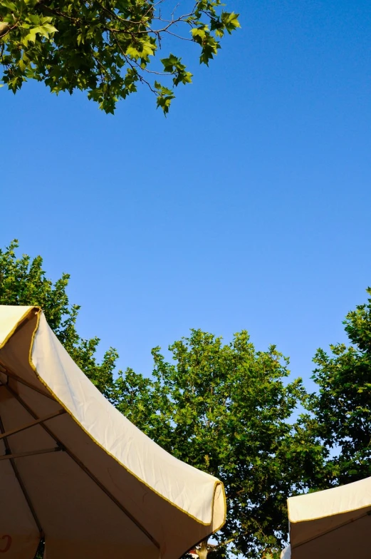 large umbrellas line the front lawn of a restaurant