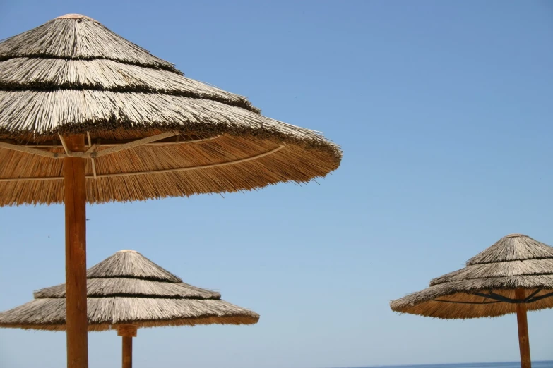 several straw umbrellas with some ocean in the background