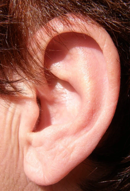 a woman's left ear has a slight patch in the middle