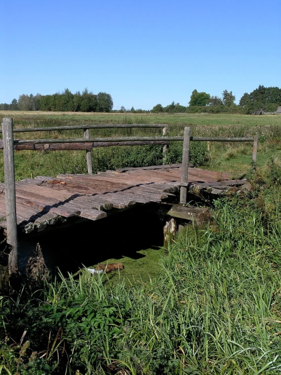 the wooden bridge is near the grass and trees