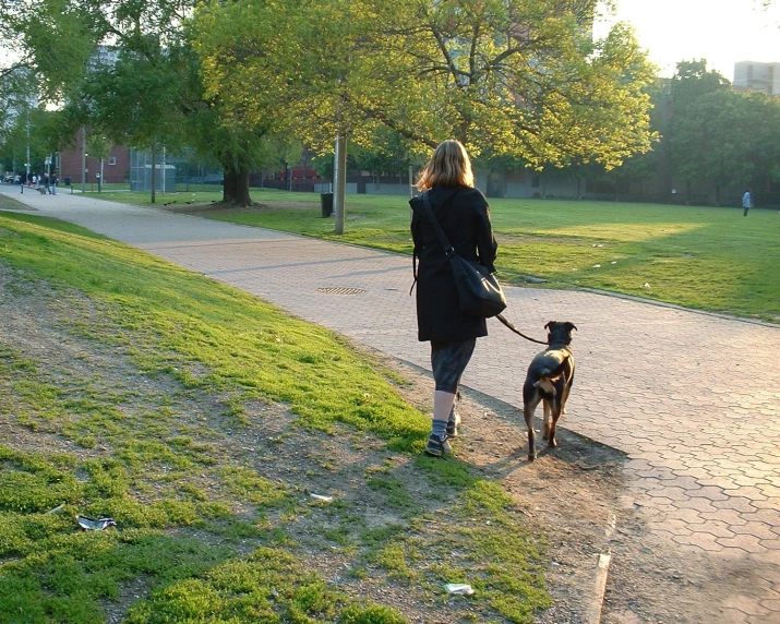 a woman walking a dog on a leash