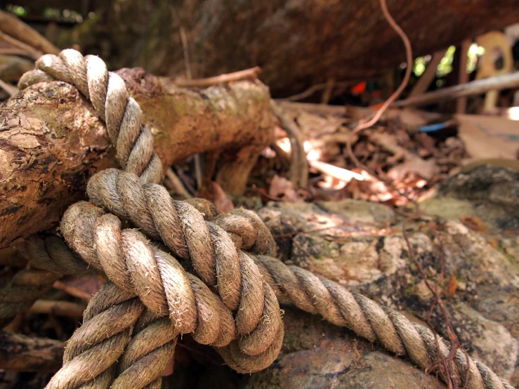 rope and other items tied to rock type area