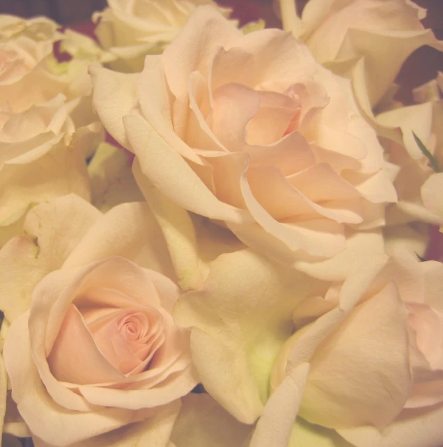 closeup view of the center of a bouquet of flowers