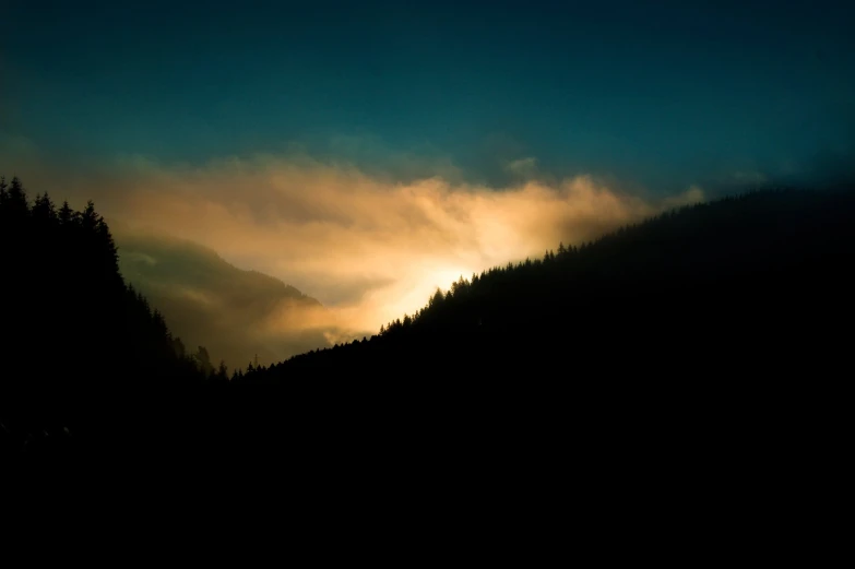 trees on the edge of a cliff under a dark sky