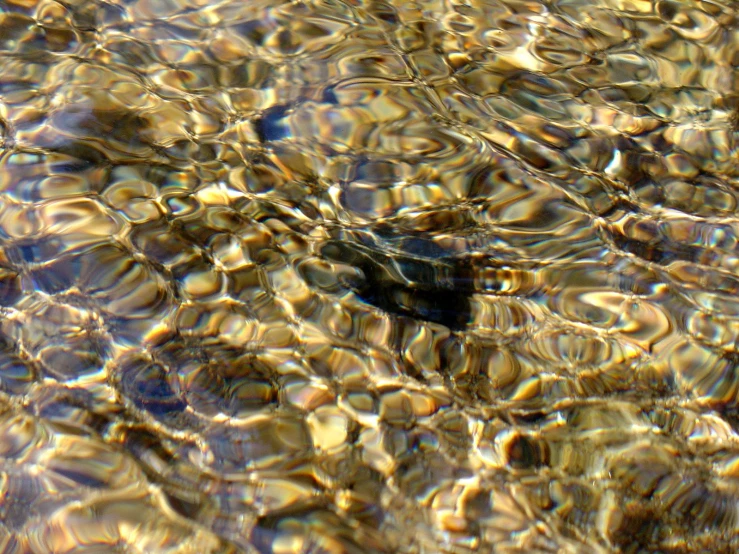 water, ripples, and sun reflecting on the surface of the clear blue water