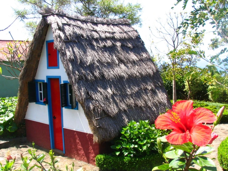 a house with a grass roof and red and white trim