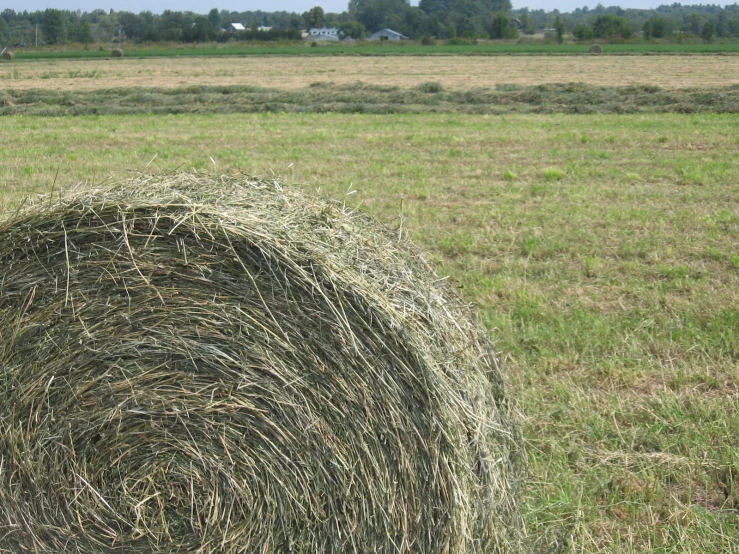 a field with green grass and some large round hay