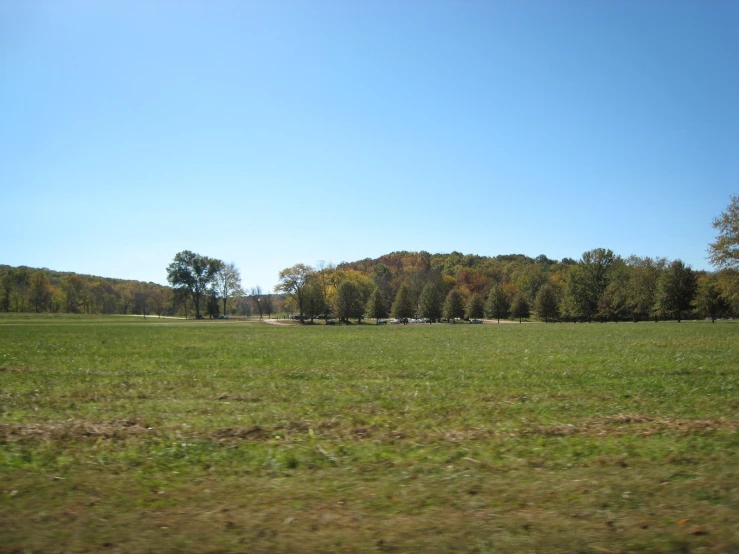 the view of a green field with lots of trees on both sides of it