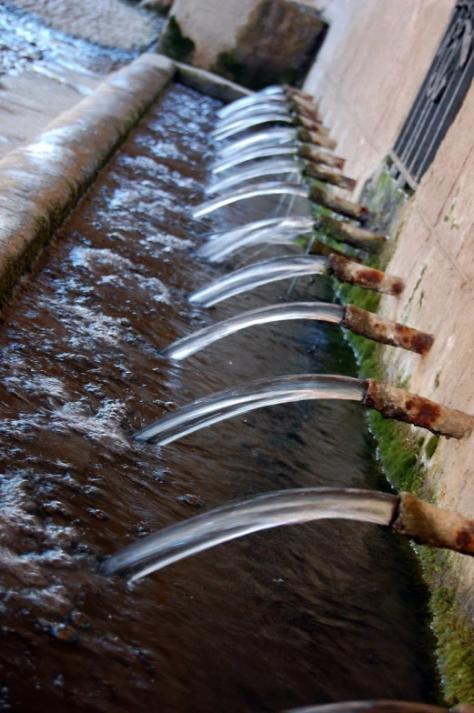 a row of water fountains on a river