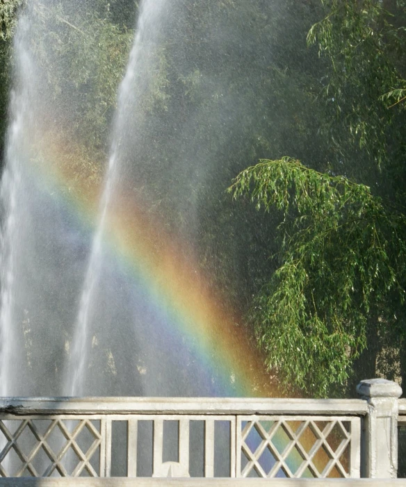 a large spray spewing from the top of a park next to trees