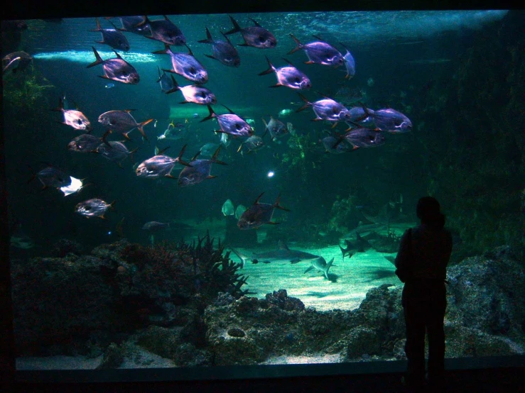 a woman standing next to a glass wall