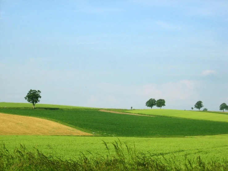 the tree line is green on the rolling hills