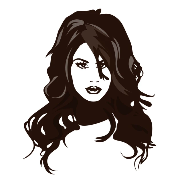 a stylized image of a woman's hair