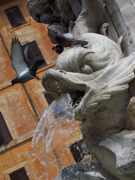 birds sitting on the back of a fountain with buildings behind it