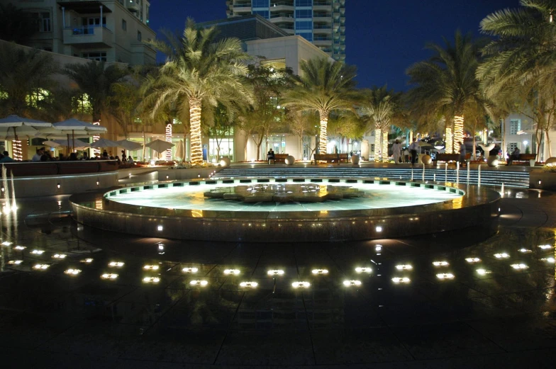 a circular fountain surrounded by palm trees