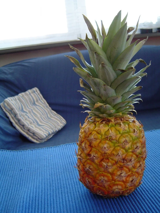 a pineapple sitting on the side of a couch