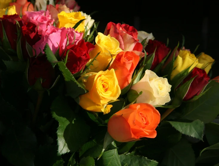 many different colored roses sitting together on a table