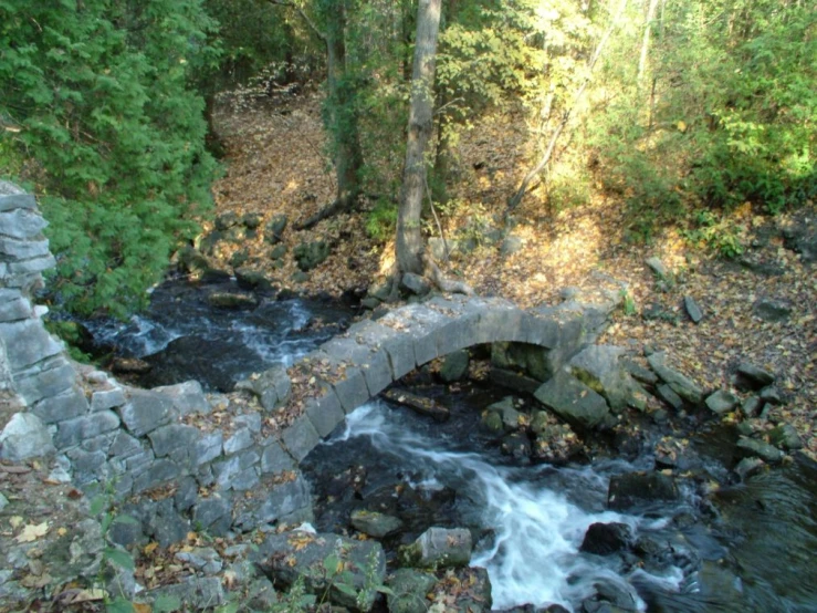 a stone bridge over a stream in the forest