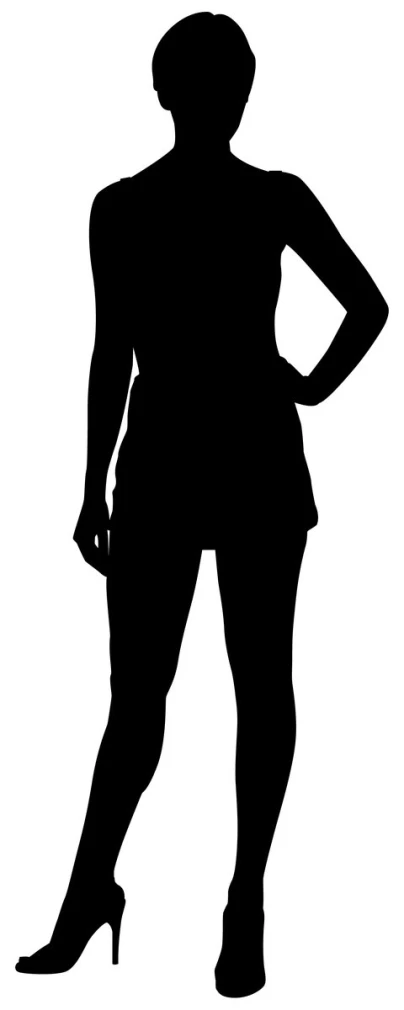a black silhouette of a  woman wearing high heels