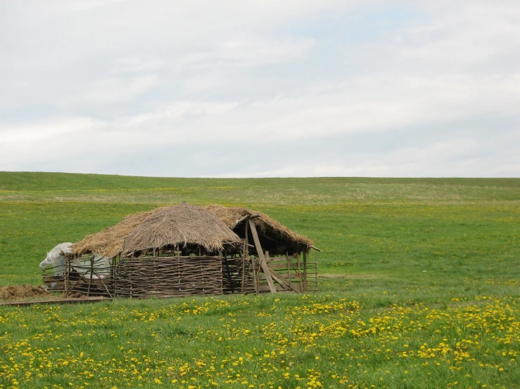 an old fashioned hut in a field filled with yellow flowers