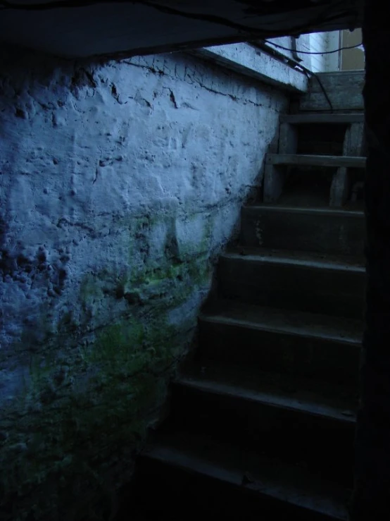 a dark stairwell going up to a green area