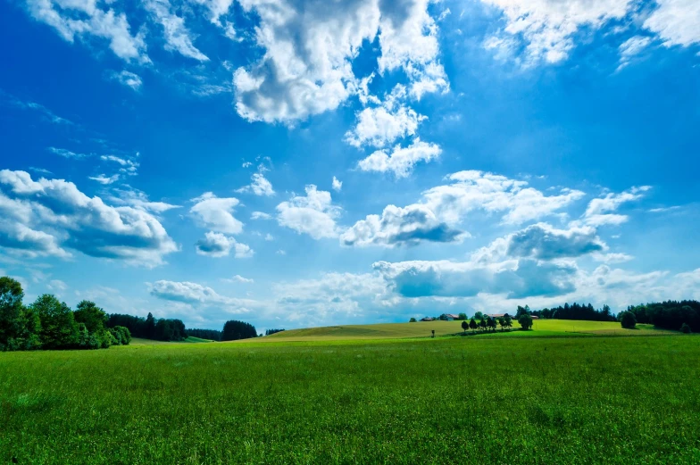 an empty field with many trees on a clear day