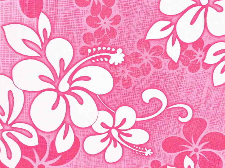 pink and white hawaiian flower pattern on a plain pink background