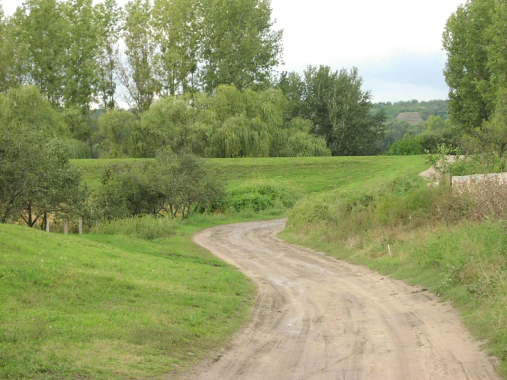 dirt road with trees and a pasture behind it