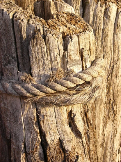 a knot attached to a piece of wood