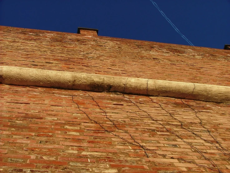 a cat sits on the ledge of a brick building