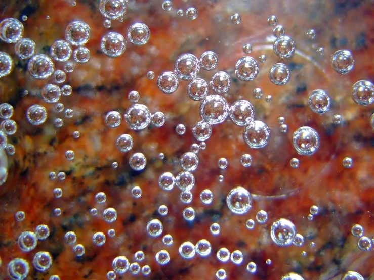 bubbles sitting on top of a metal plate covered in brown substance