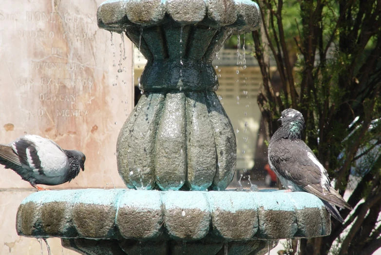 there are two birds perched on a fountain