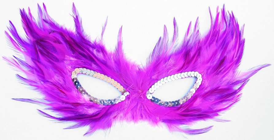 mask with a purple feather design and silver trim