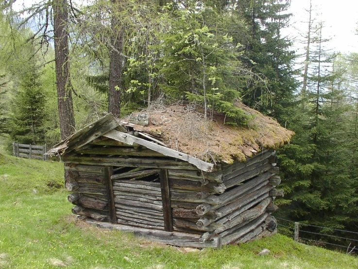 a log cabin with a thatch roof and tall trees in the background