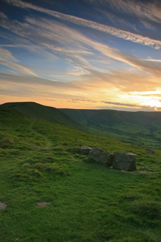 a green field filled with animals at sunset